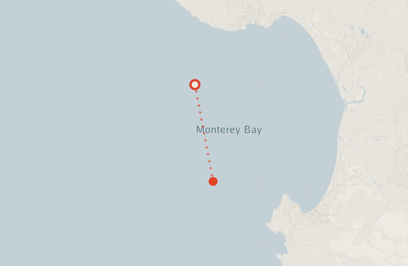 Activity map — real sighting points on an OpenStreetMap basemap