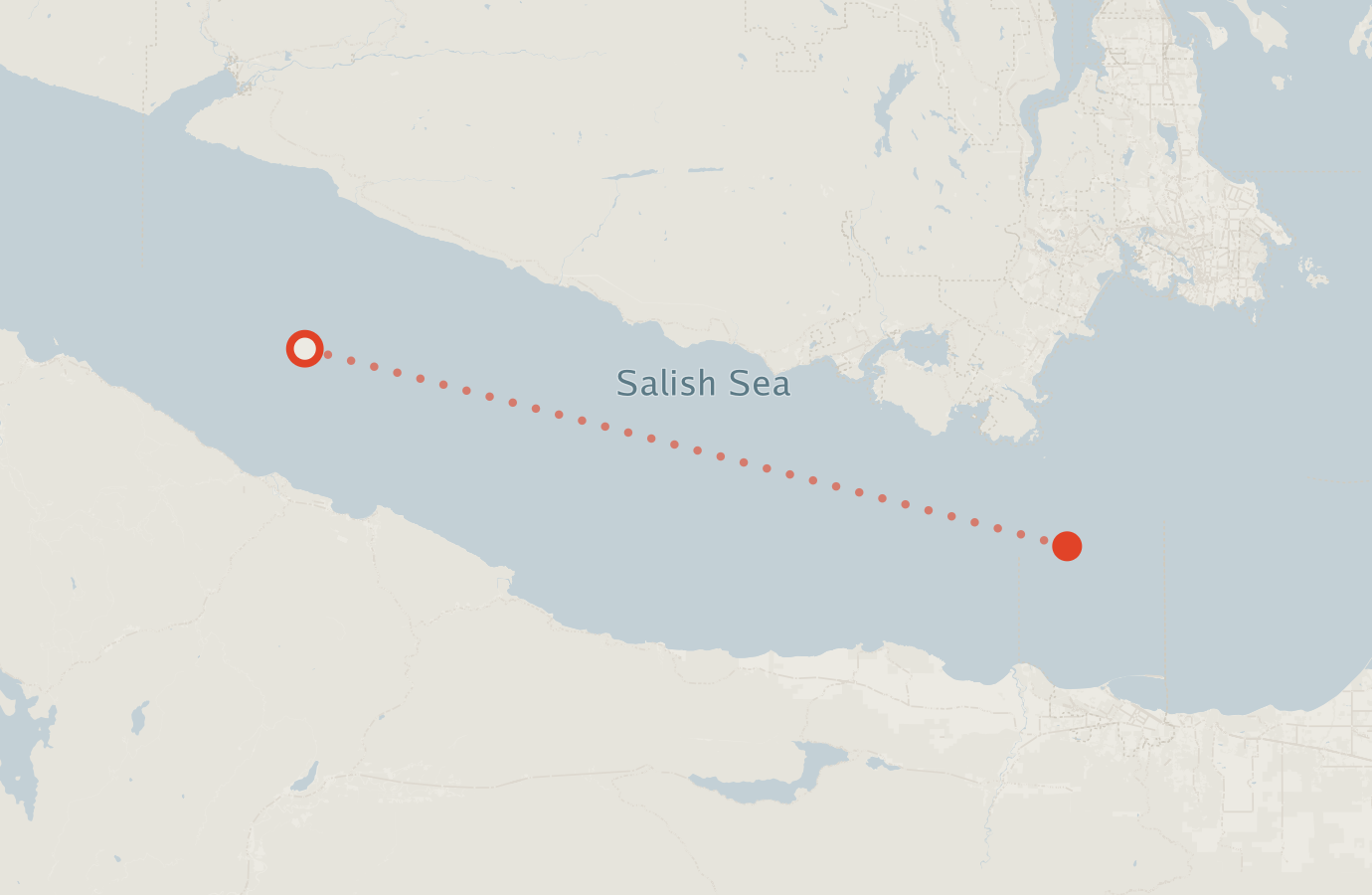 Activity map — real sighting points on an OpenStreetMap basemap
