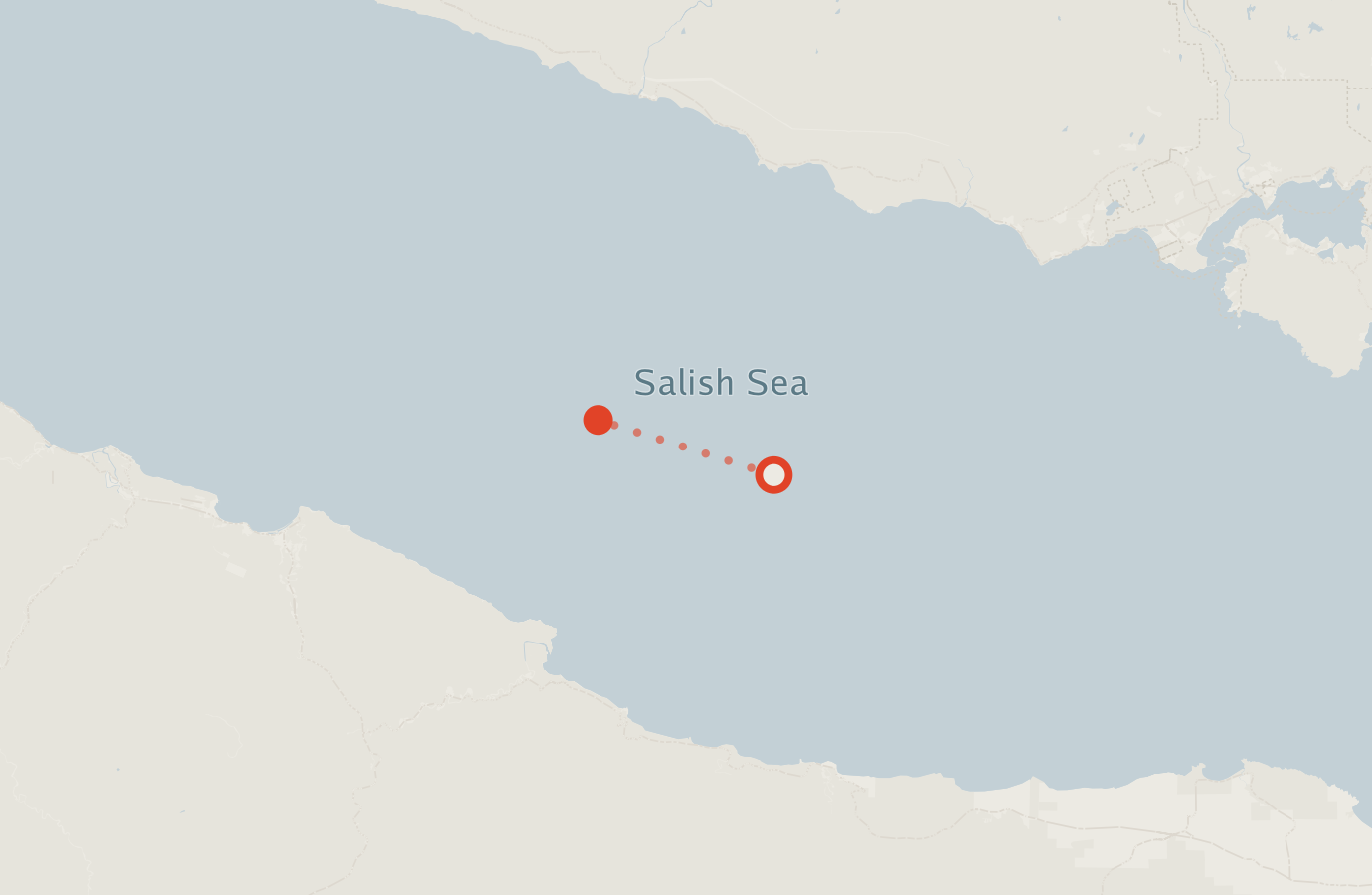 Activity map — real sighting points on an OpenStreetMap basemap