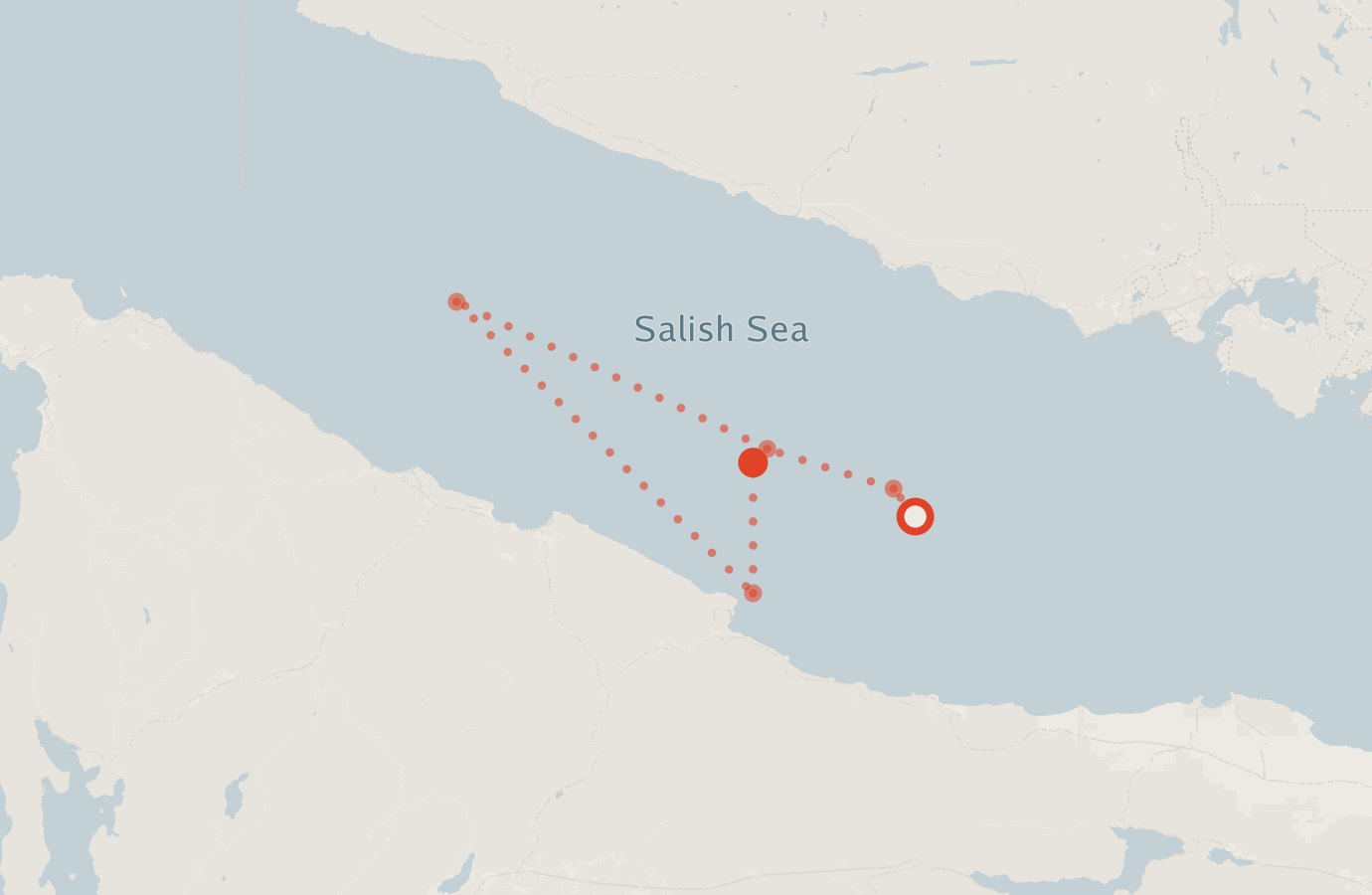 Activity map — real sighting points on an OpenStreetMap basemap
