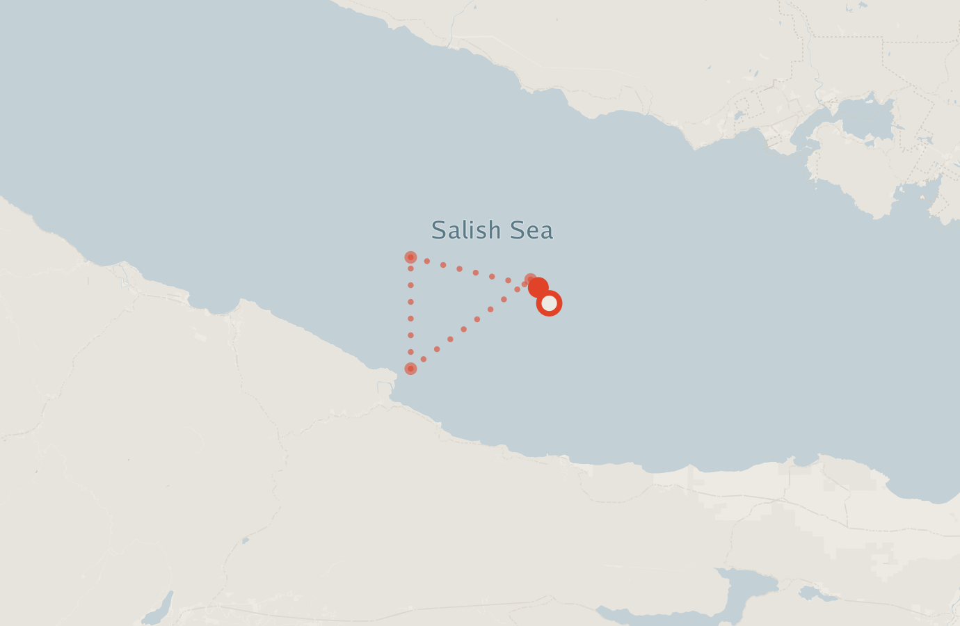 Activity map — real sighting points on an OpenStreetMap basemap