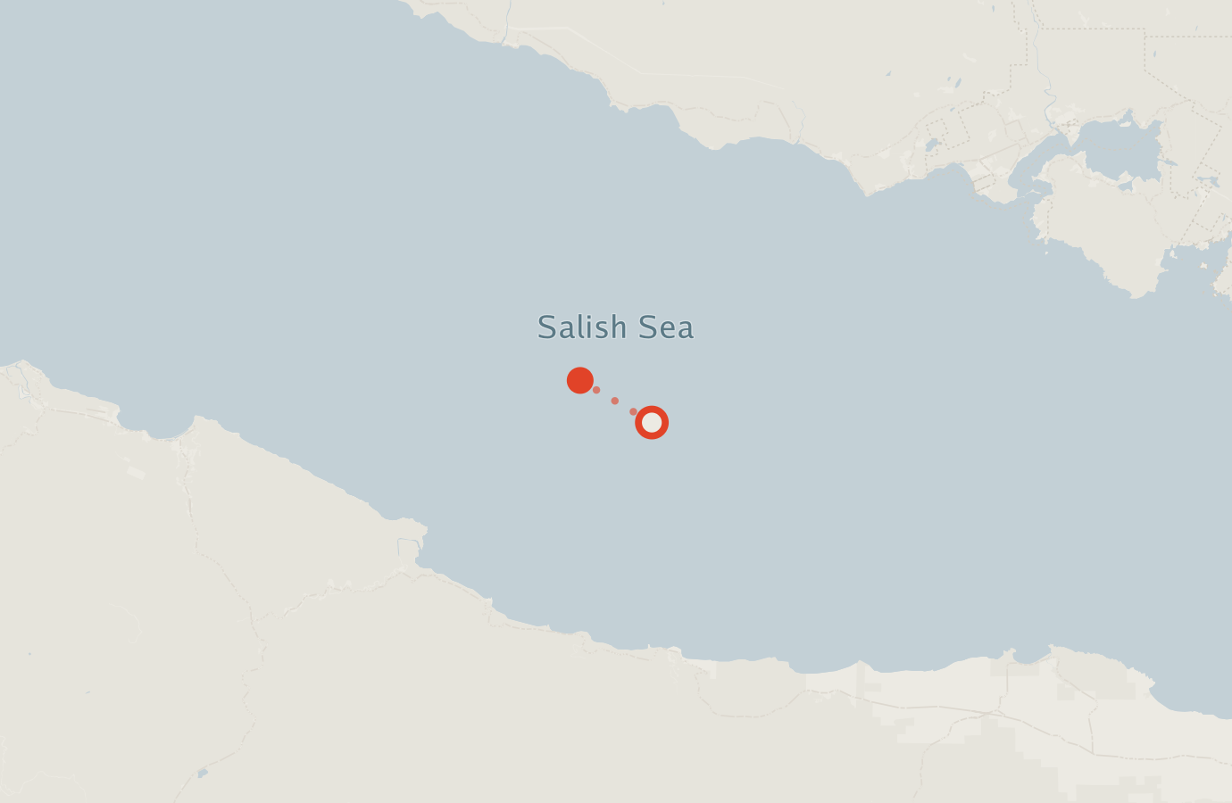 Activity map — real sighting points on an OpenStreetMap basemap