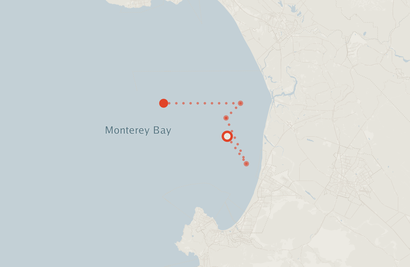 Activity map — real sighting points on an OpenStreetMap basemap
