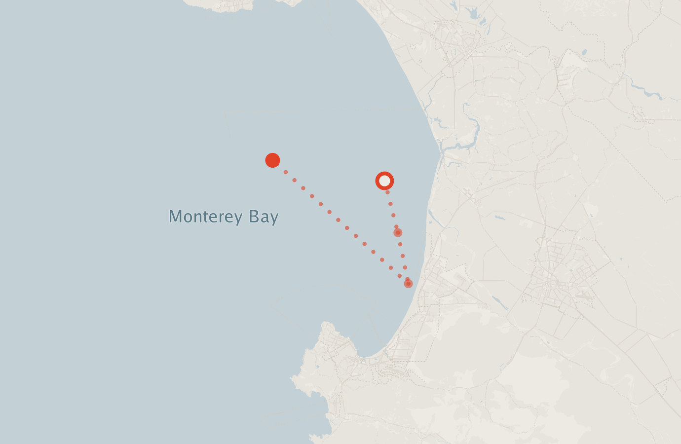 Activity map — real sighting points on an OpenStreetMap basemap