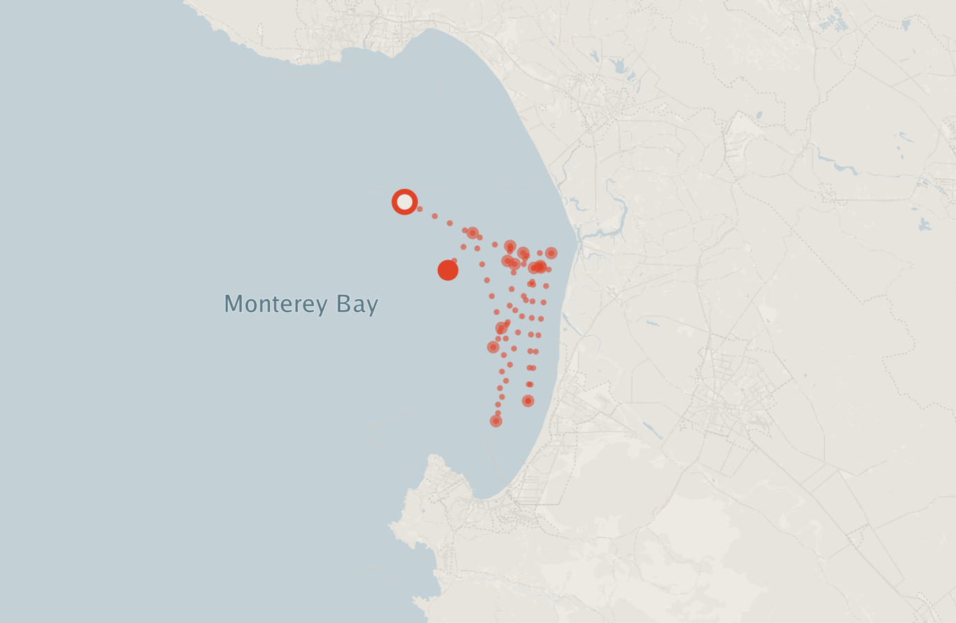 Activity map — real sighting points on an OpenStreetMap basemap