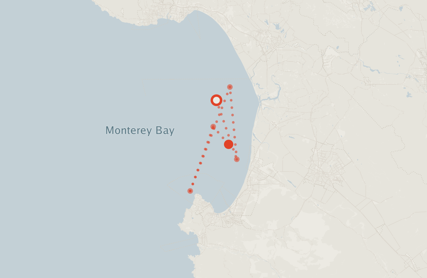 Activity map — real sighting points on an OpenStreetMap basemap