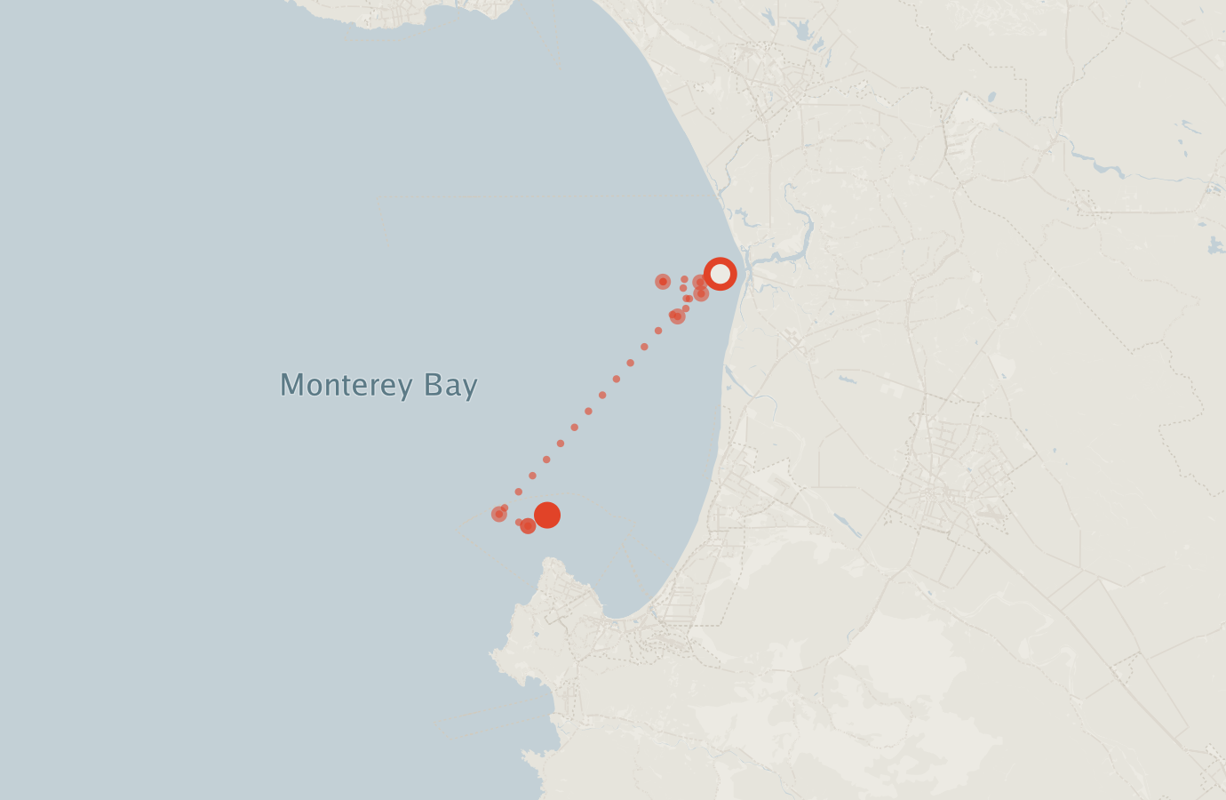 Activity map — real sighting points on an OpenStreetMap basemap