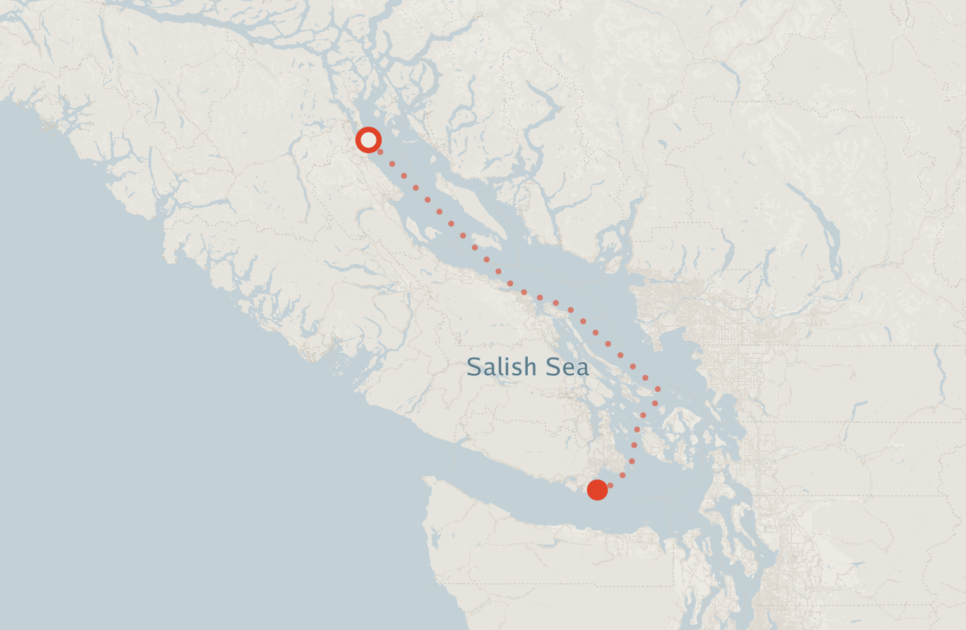 Activity map — real sighting points on an OpenStreetMap basemap