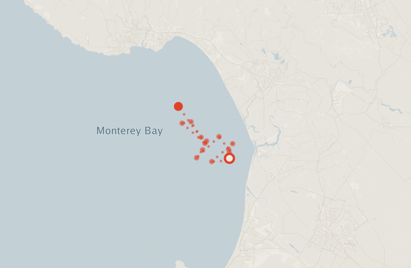 Activity map — real sighting points on an OpenStreetMap basemap