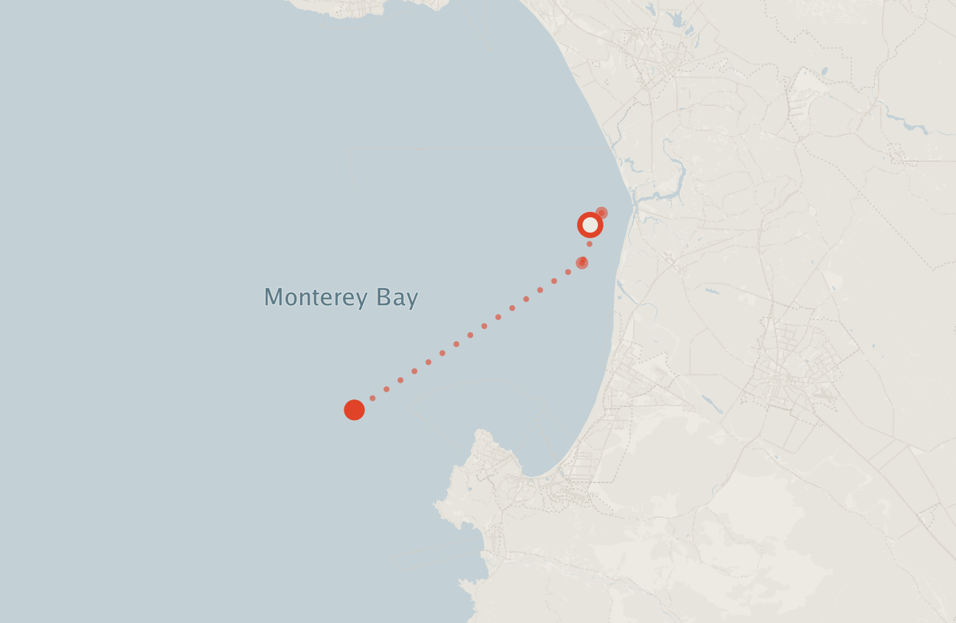 Activity map — real sighting points on an OpenStreetMap basemap