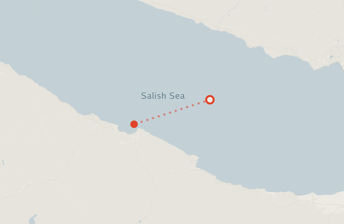 Activity map — real sighting points on an OpenStreetMap basemap