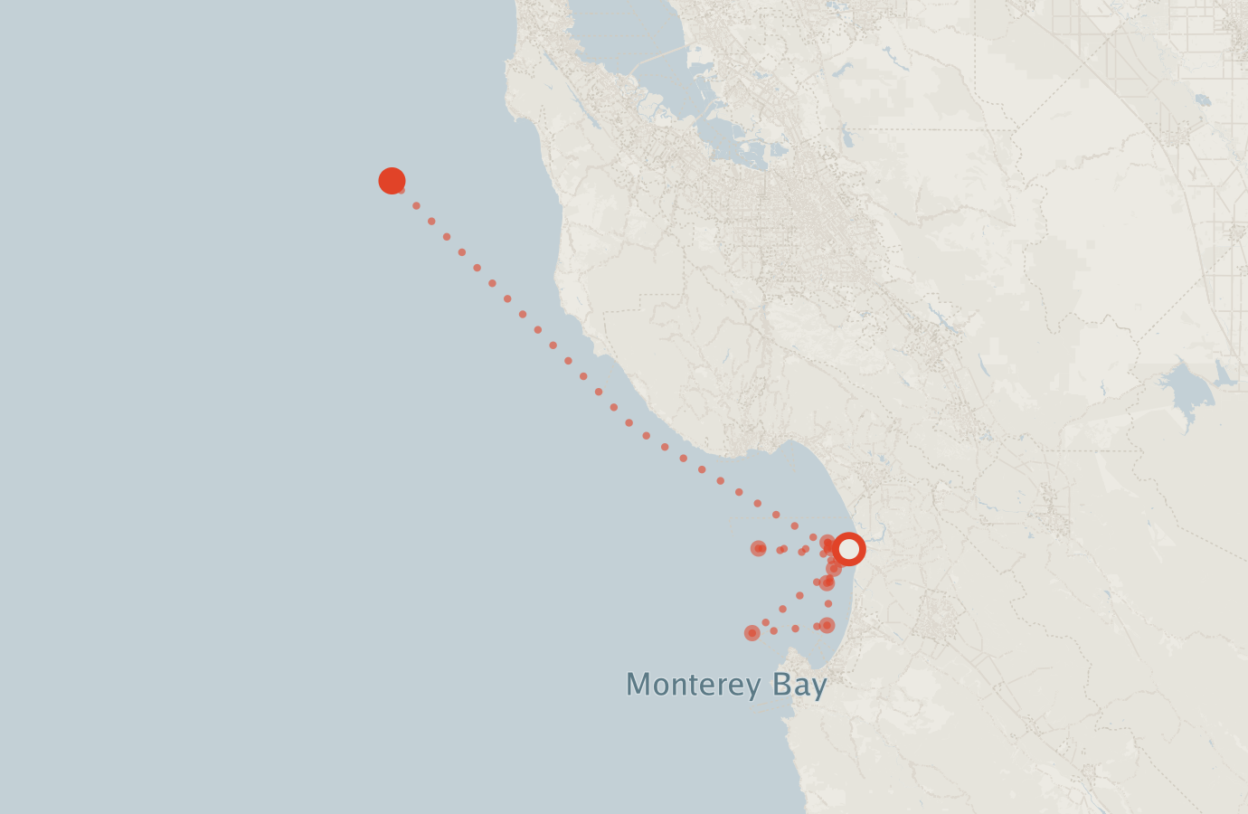 Activity map — real sighting points on an OpenStreetMap basemap
