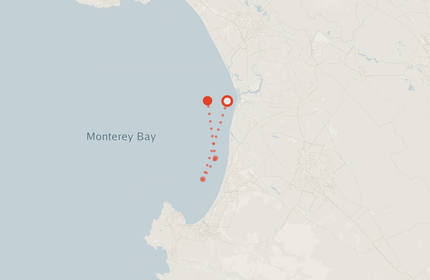 Activity map — real sighting points on an OpenStreetMap basemap