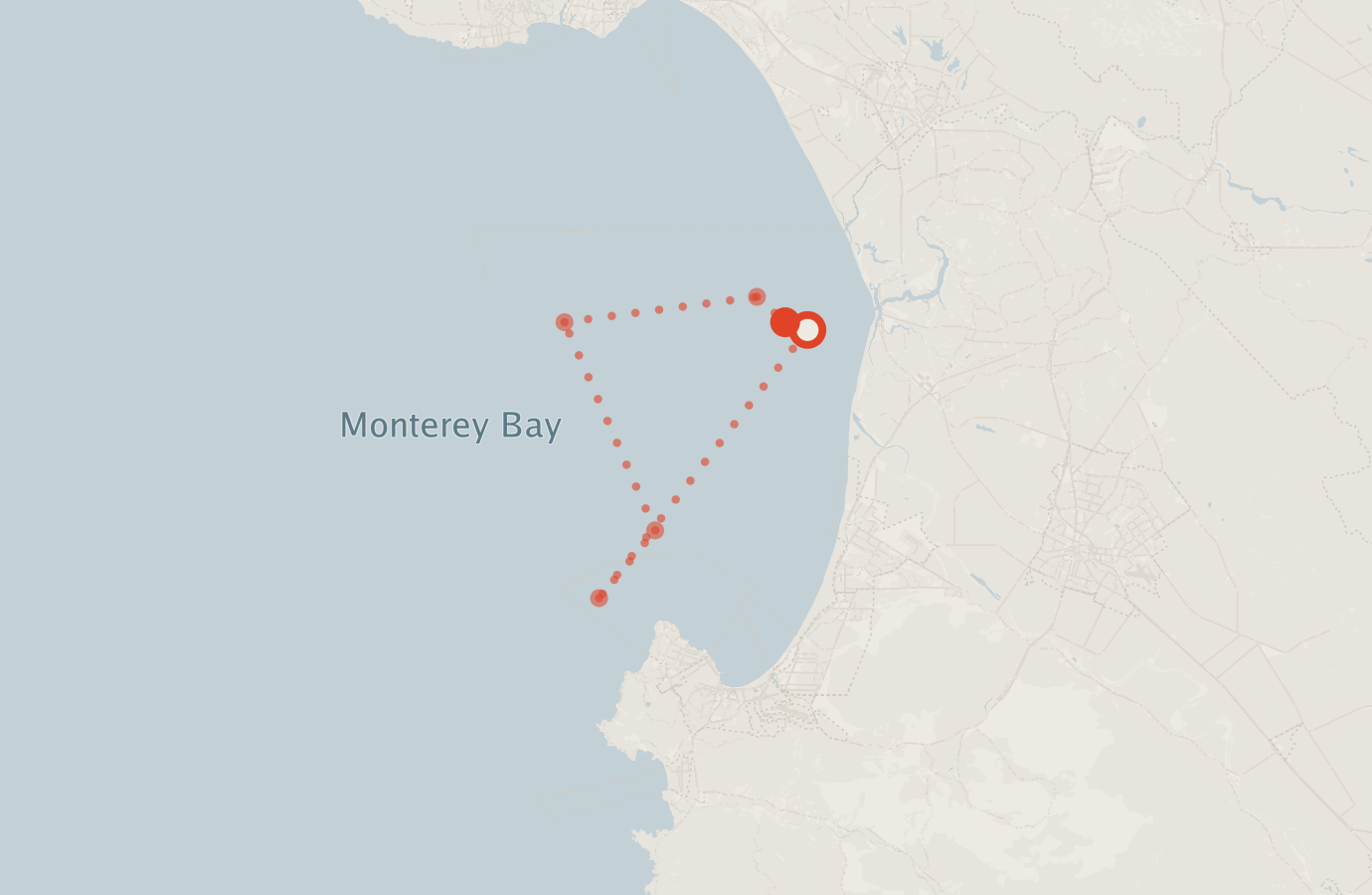 Activity map — real sighting points on an OpenStreetMap basemap
