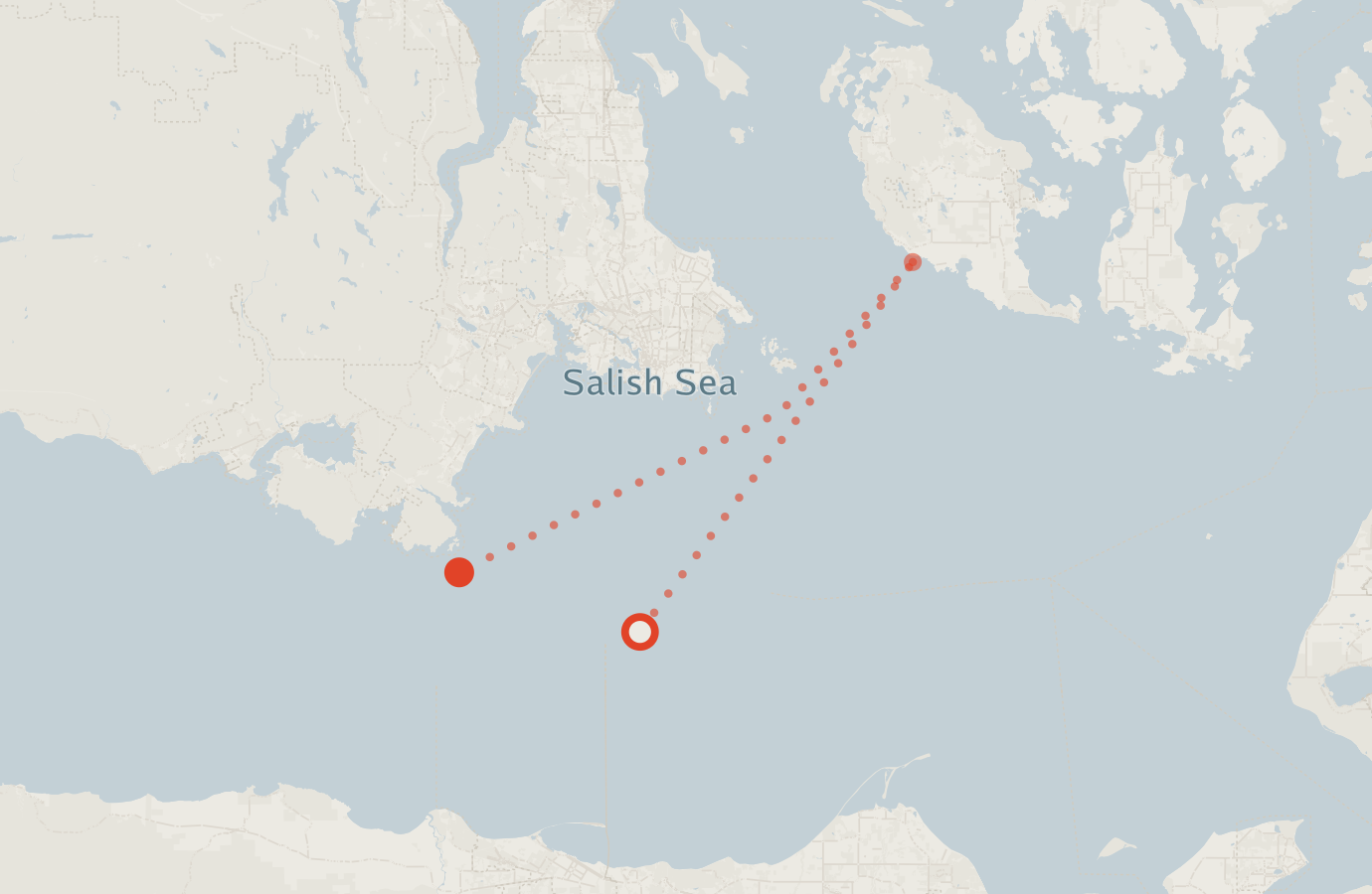 Activity map — real sighting points on an OpenStreetMap basemap