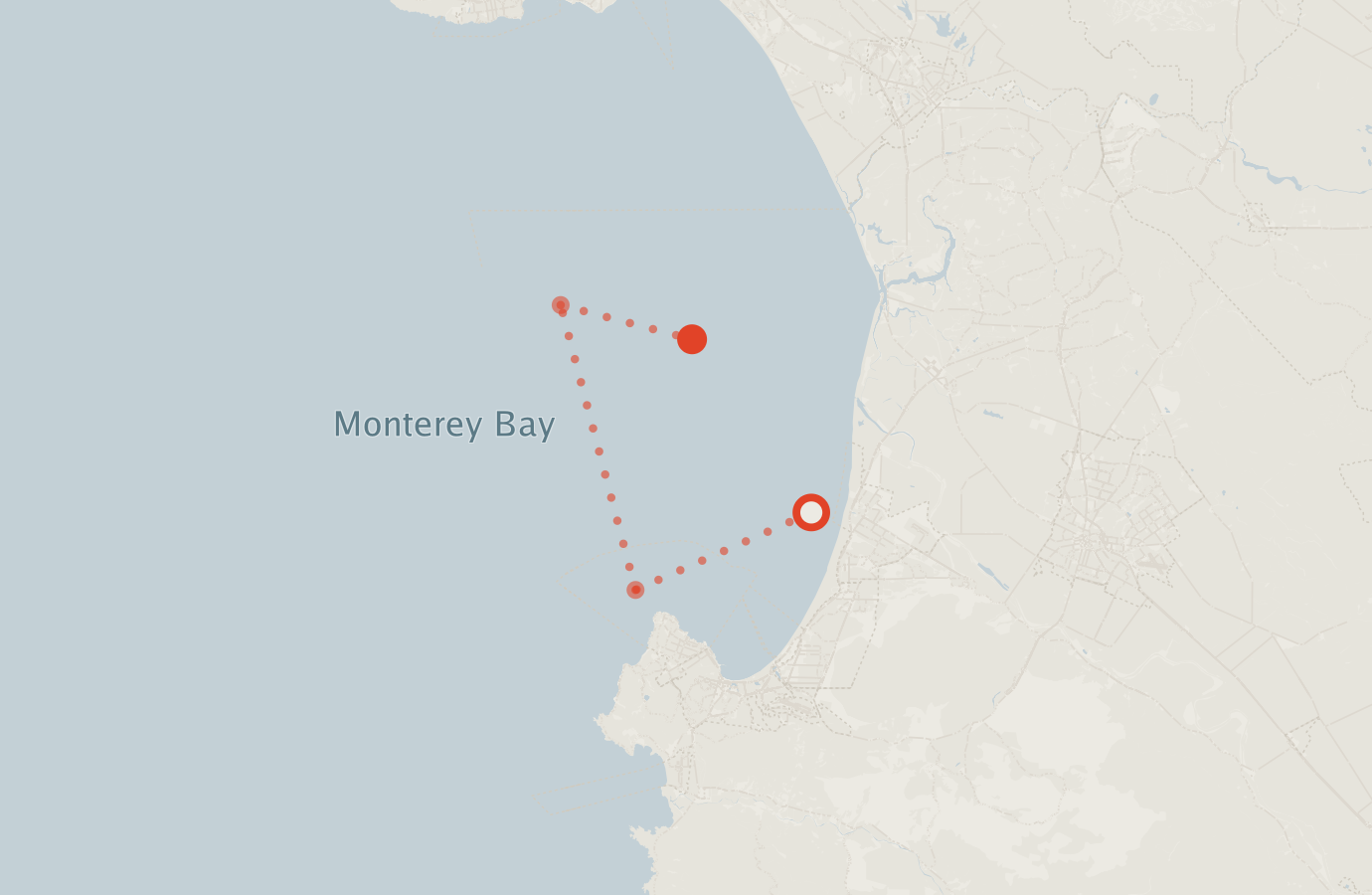Activity map — real sighting points on an OpenStreetMap basemap