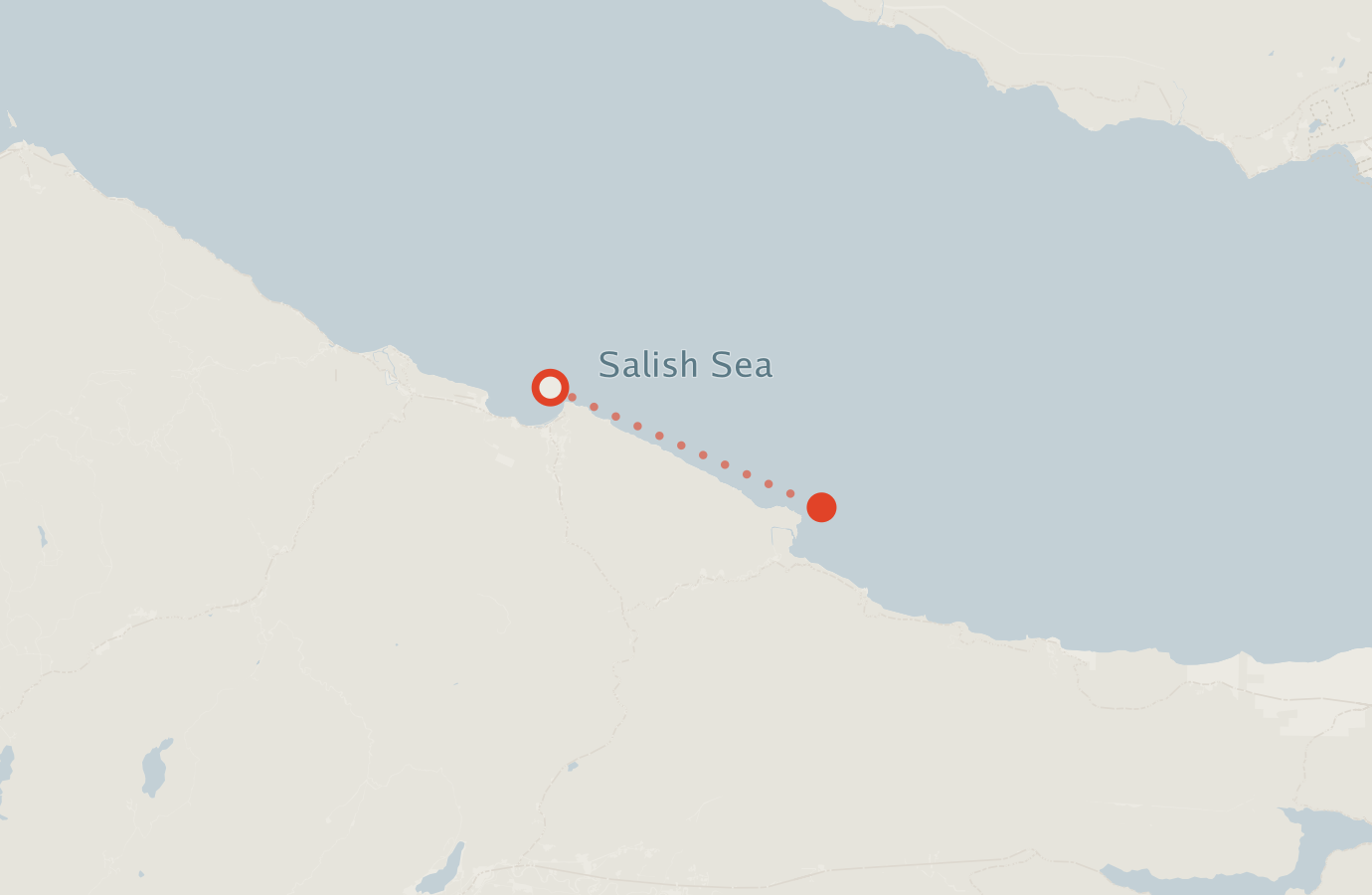 Activity map — real sighting points on an OpenStreetMap basemap