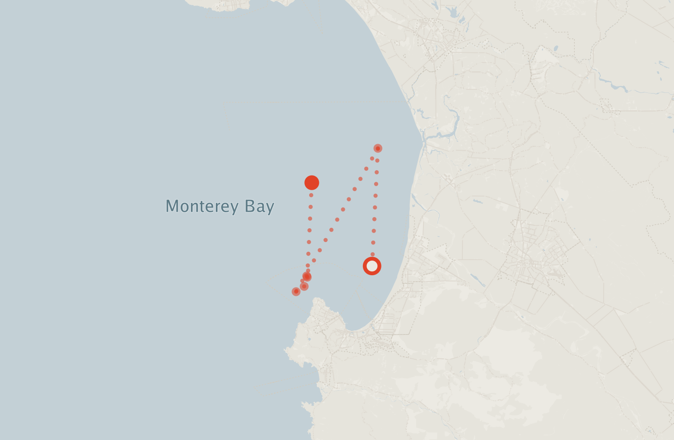 Activity map — real sighting points on an OpenStreetMap basemap