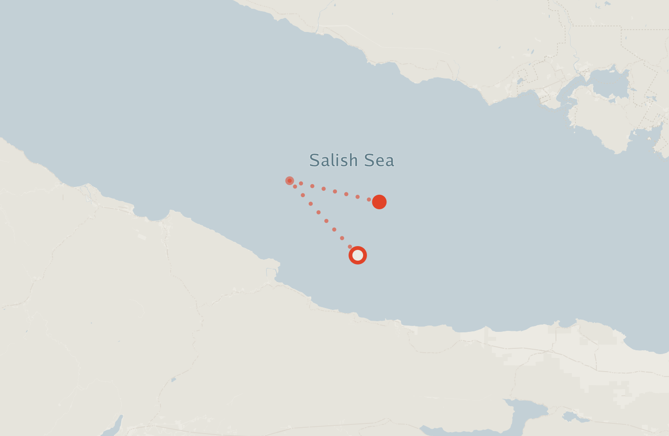 Activity map — real sighting points on an OpenStreetMap basemap