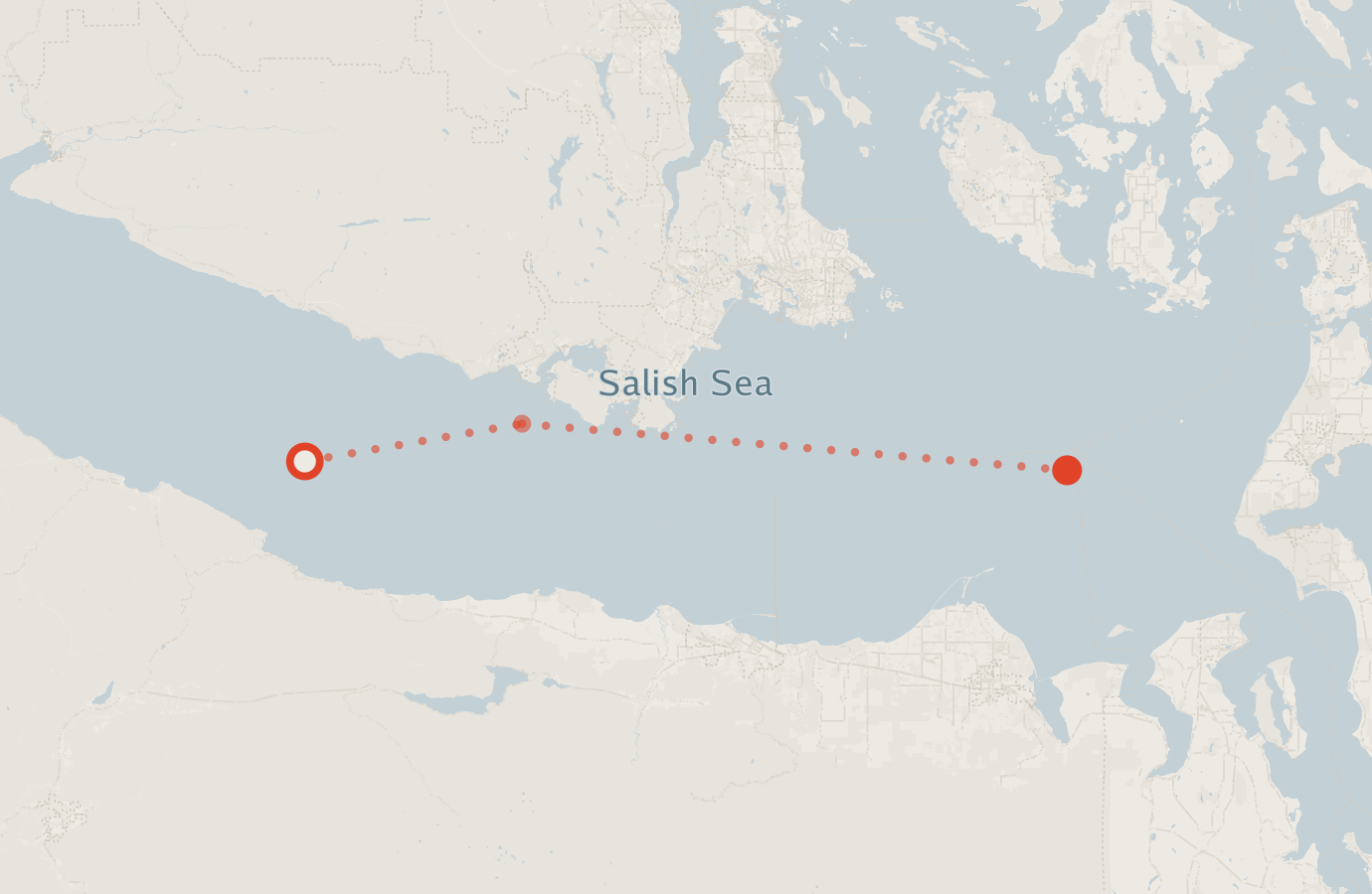 Activity map — real sighting points on an OpenStreetMap basemap