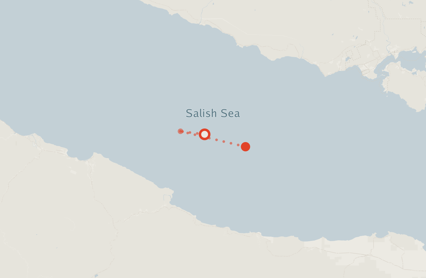 Activity map — real sighting points on an OpenStreetMap basemap
