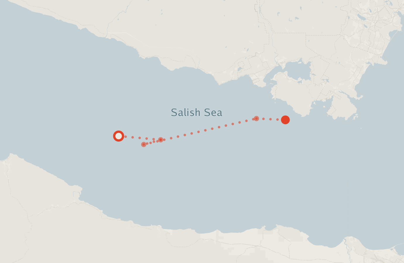 Activity map — real sighting points on an OpenStreetMap basemap