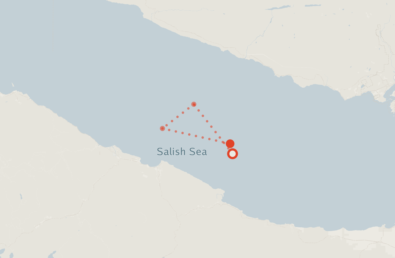 Activity map — real sighting points on an OpenStreetMap basemap