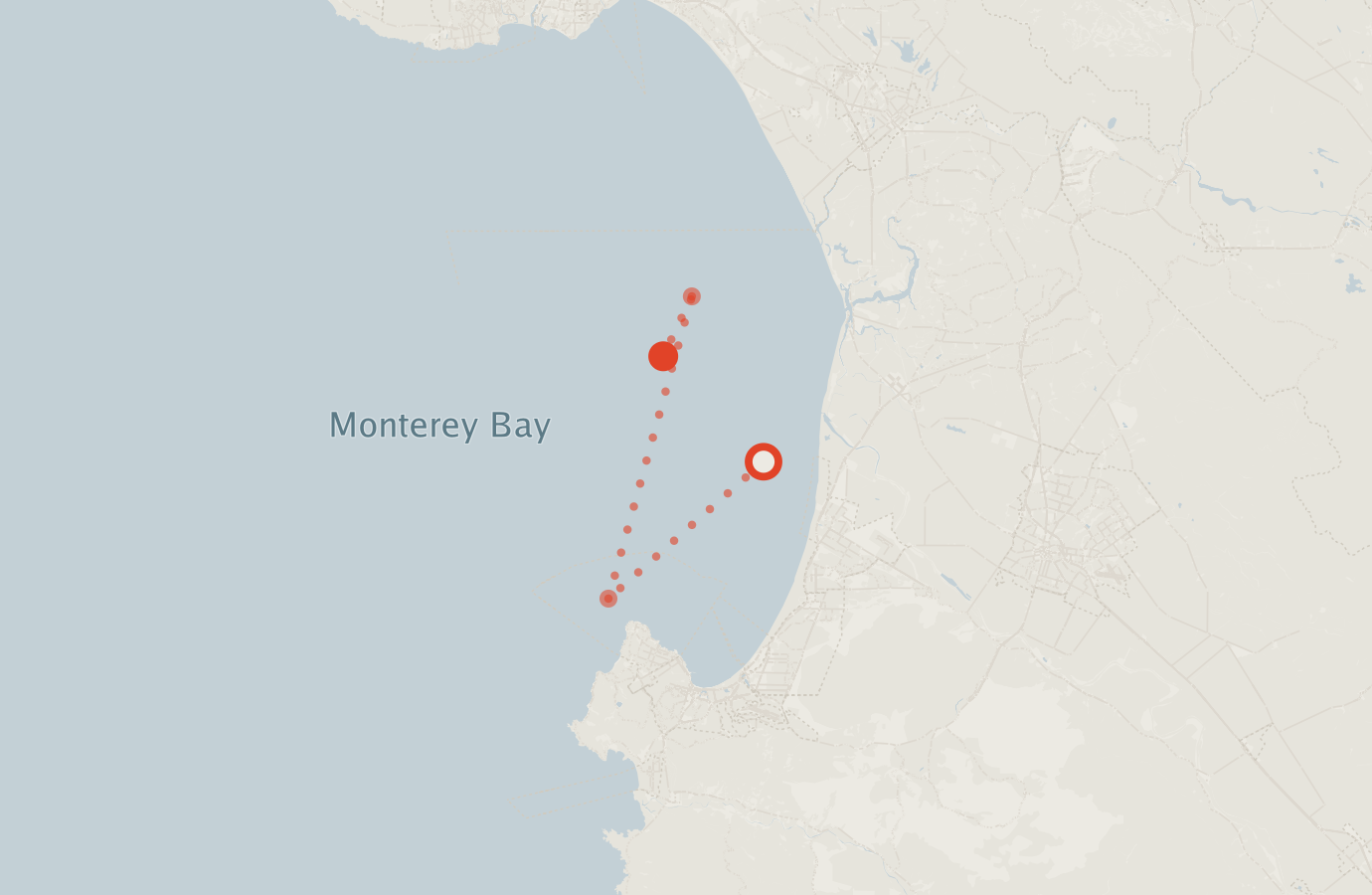 Activity map — real sighting points on an OpenStreetMap basemap