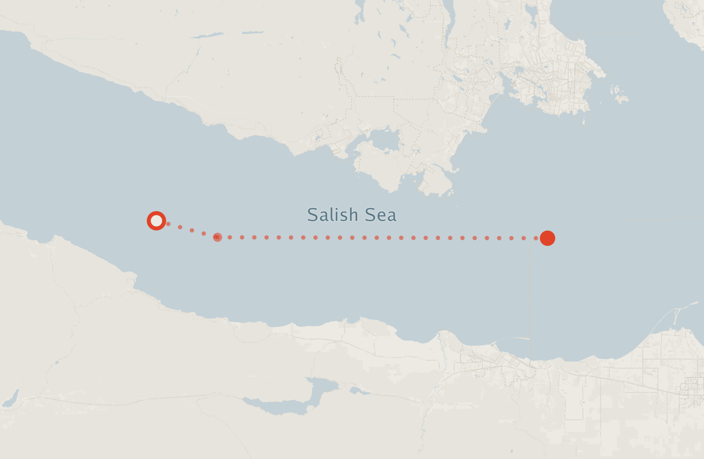Activity map — real sighting points on an OpenStreetMap basemap