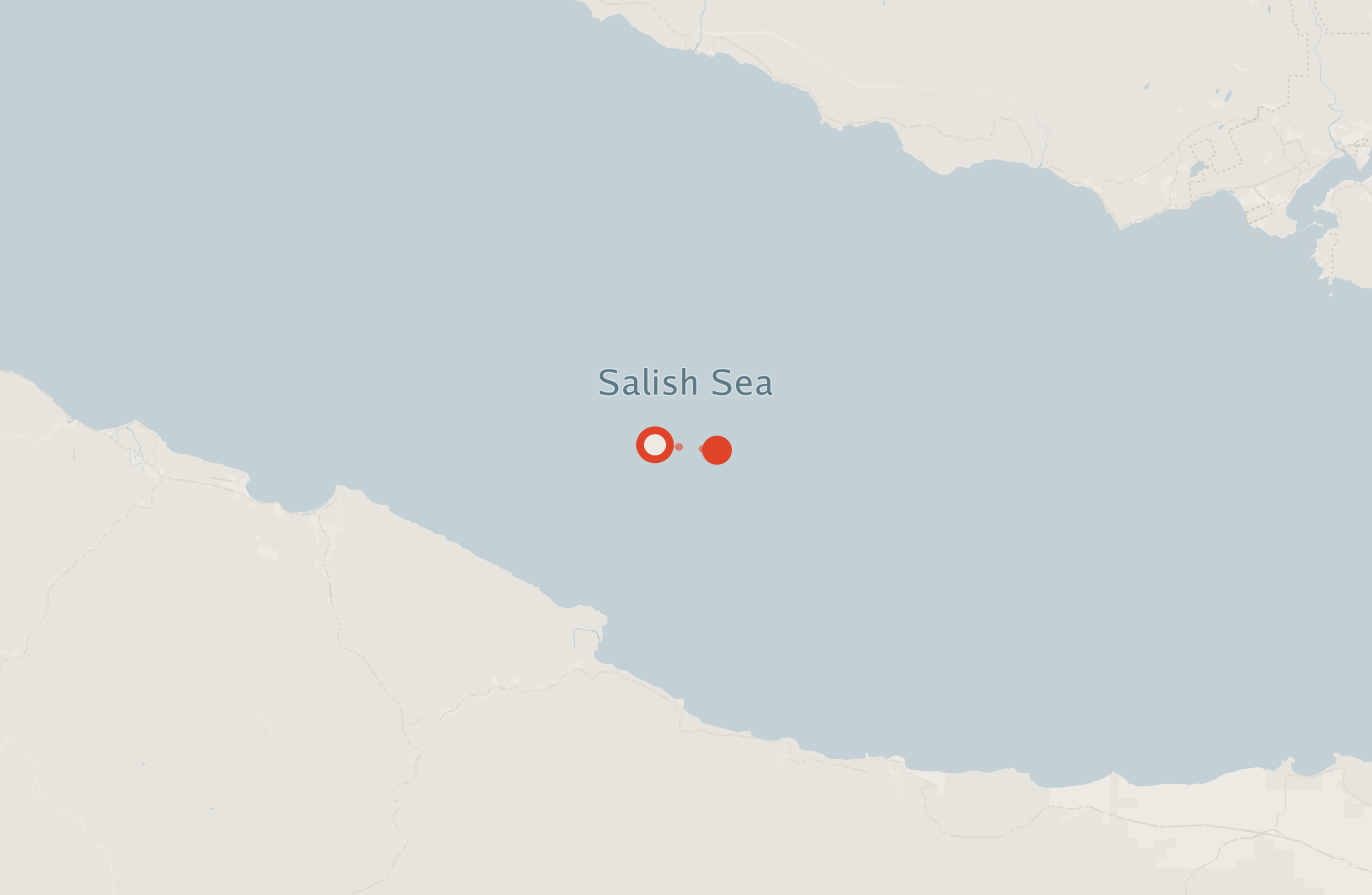 Activity map — real sighting points on an OpenStreetMap basemap