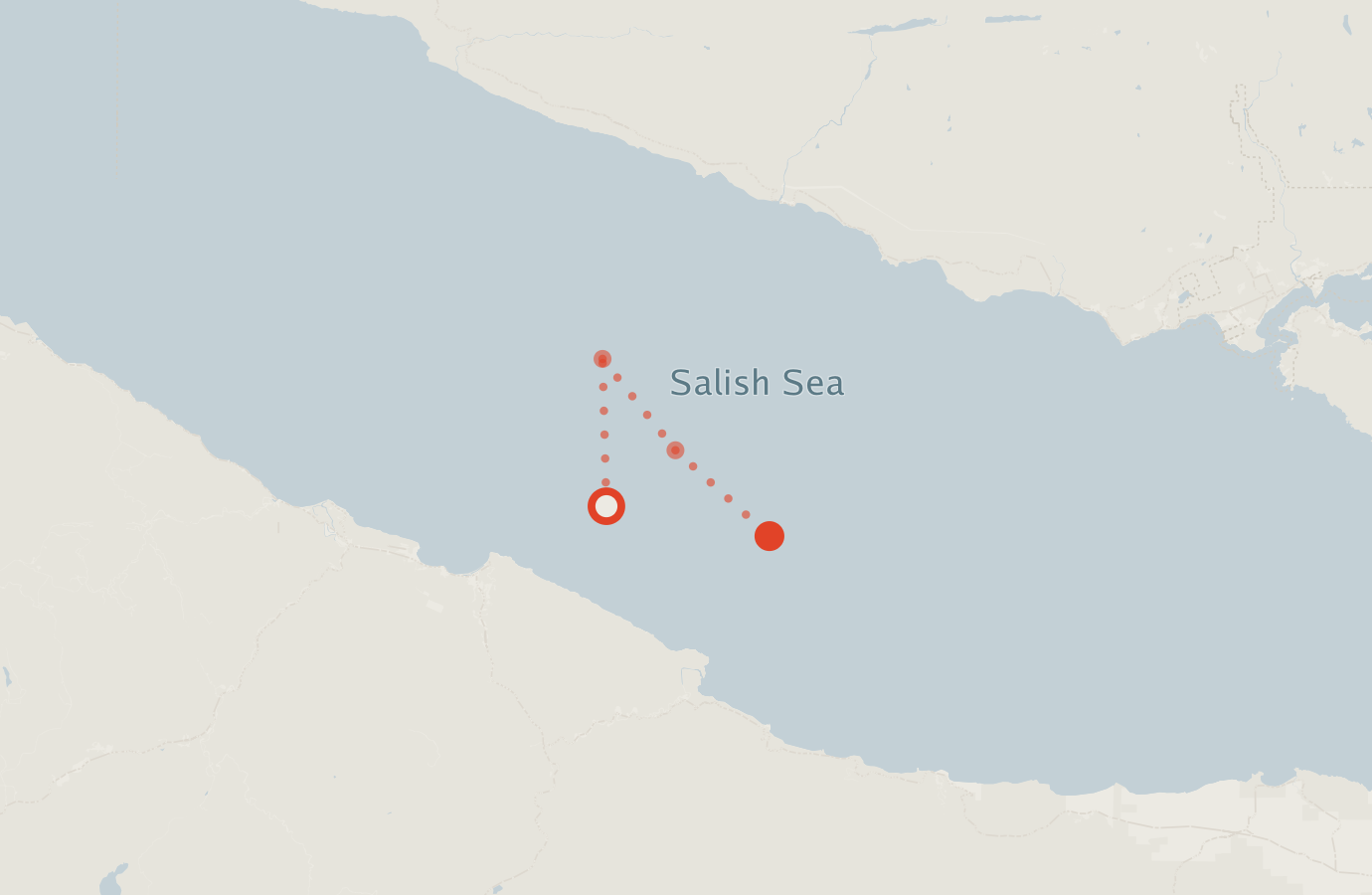 Activity map — real sighting points on an OpenStreetMap basemap