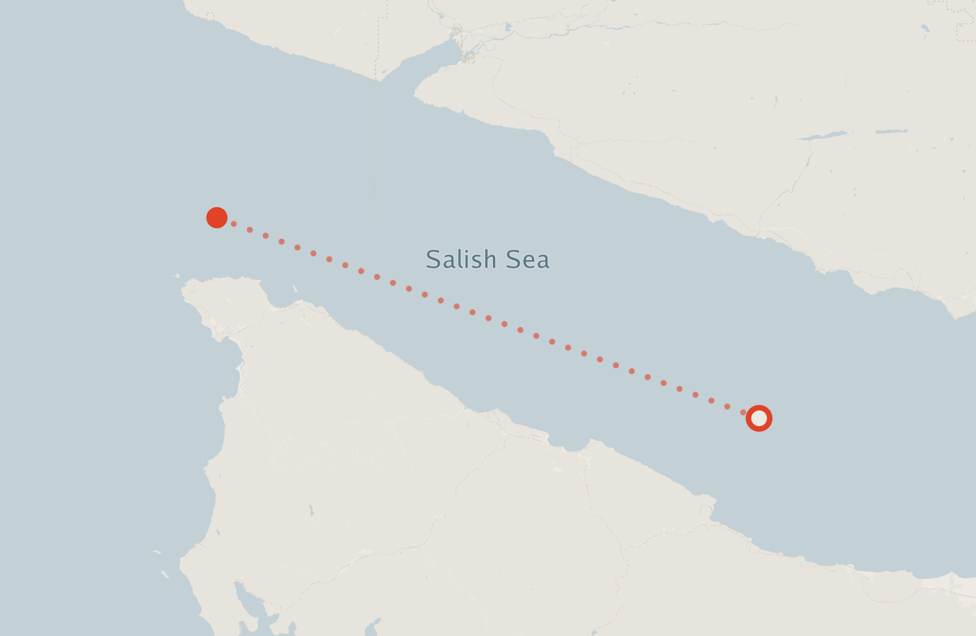 Activity map — real sighting points on an OpenStreetMap basemap