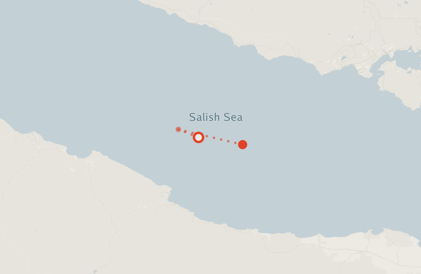 Activity map — real sighting points on an OpenStreetMap basemap