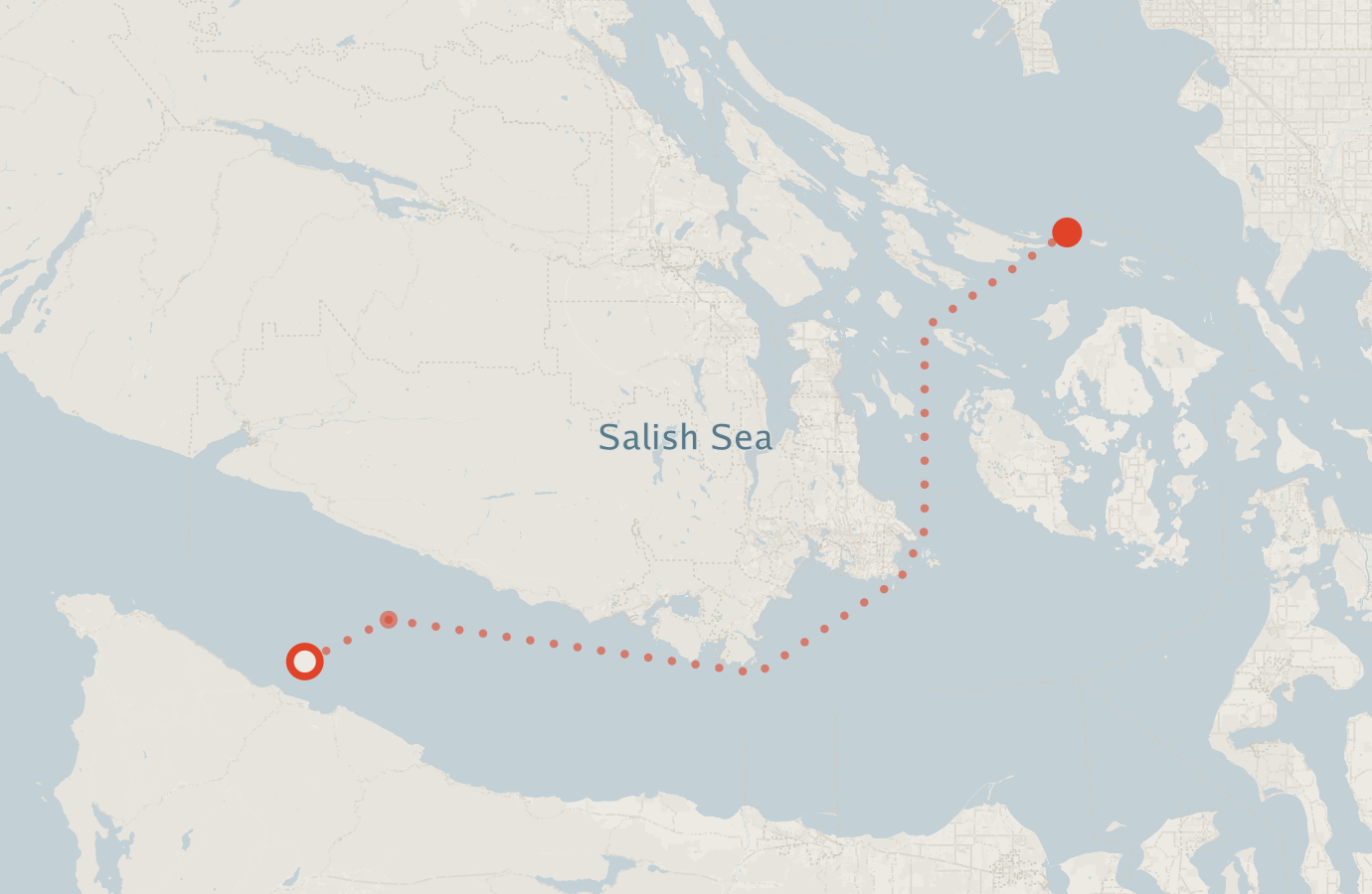 Activity map — real sighting points on an OpenStreetMap basemap
