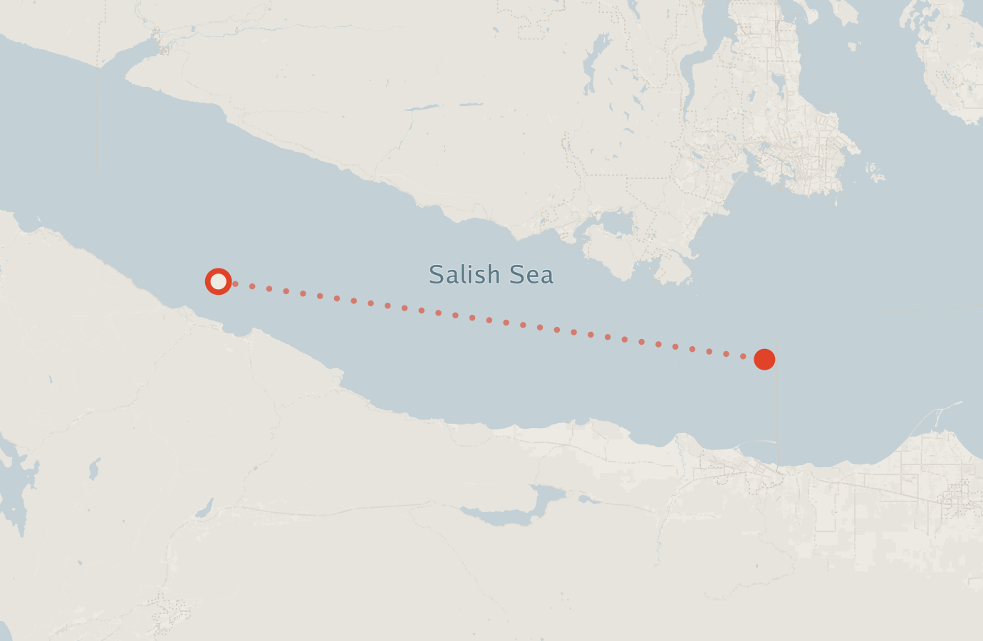 Activity map — real sighting points on an OpenStreetMap basemap