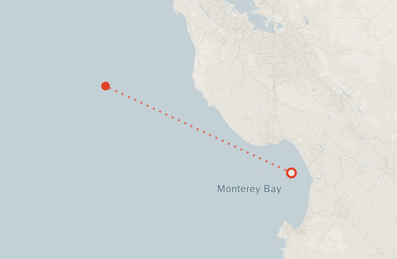 Activity map — real sighting points on an OpenStreetMap basemap