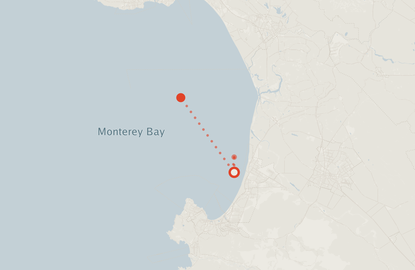 Activity map — real sighting points on an OpenStreetMap basemap