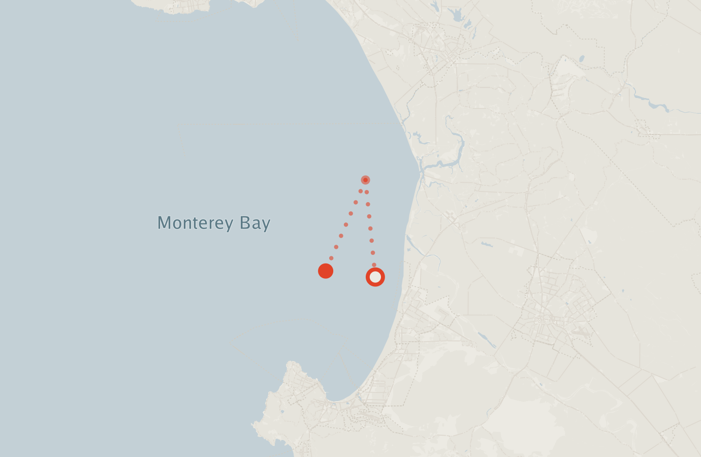 Activity map — real sighting points on an OpenStreetMap basemap