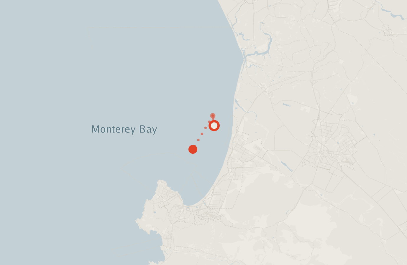 Activity map — real sighting points on an OpenStreetMap basemap