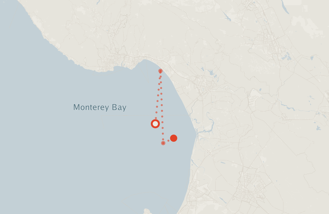 Activity map — real sighting points on an OpenStreetMap basemap
