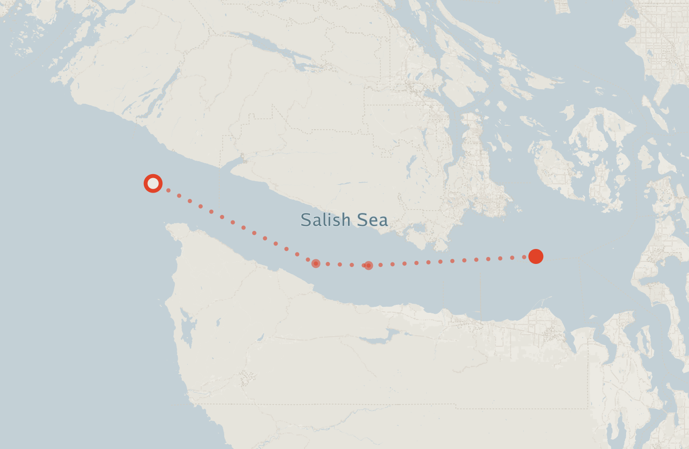 Activity map — real sighting points on an OpenStreetMap basemap