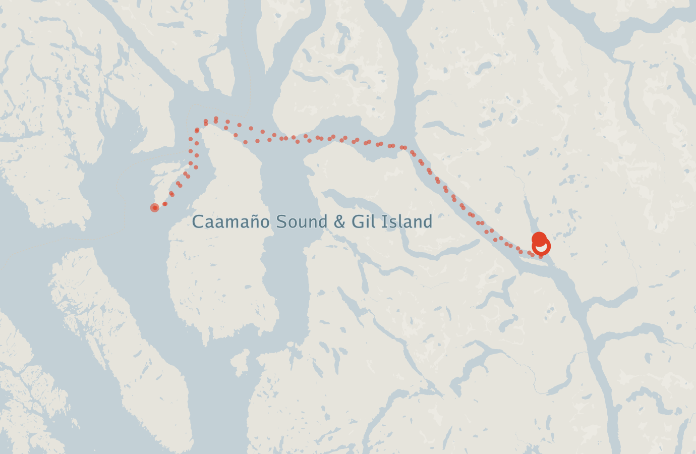 Activity map — real sighting points on an OpenStreetMap basemap