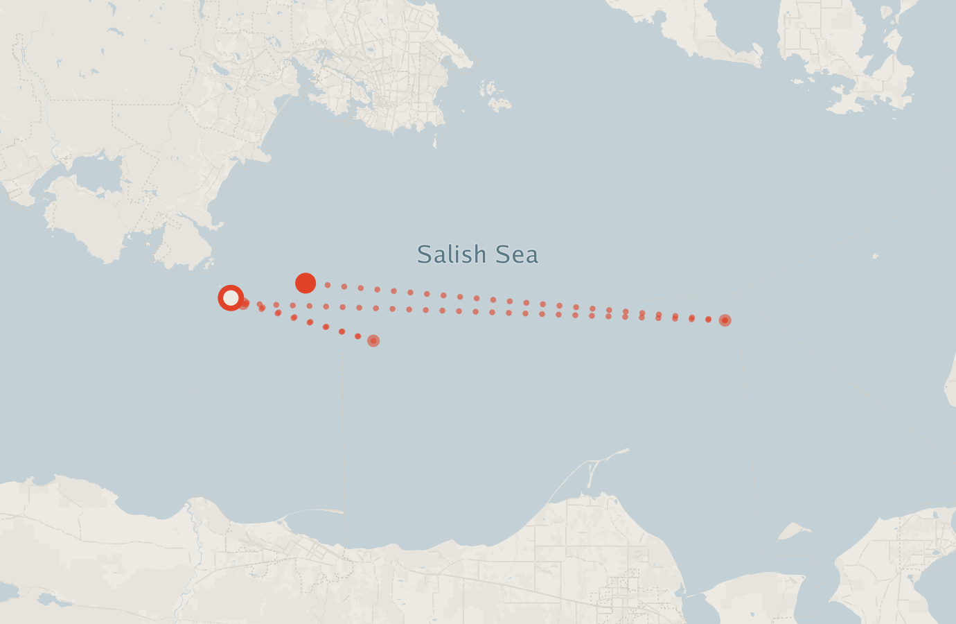 Activity map — real sighting points on an OpenStreetMap basemap