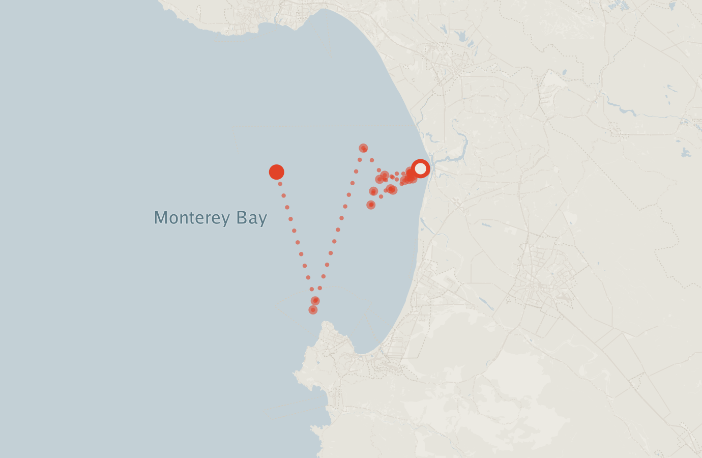 Activity map — real sighting points on an OpenStreetMap basemap