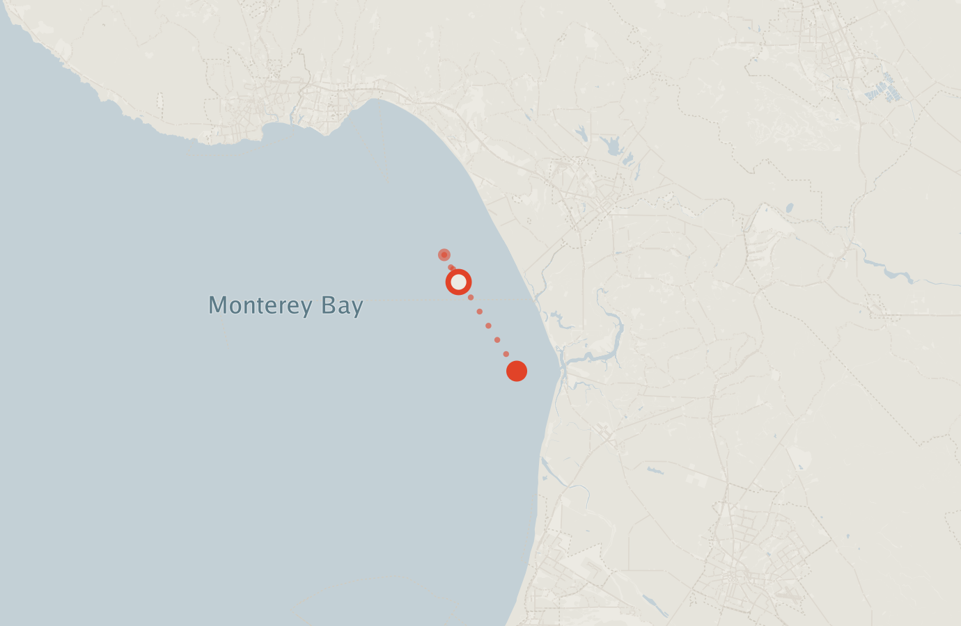 Activity map — real sighting points on an OpenStreetMap basemap