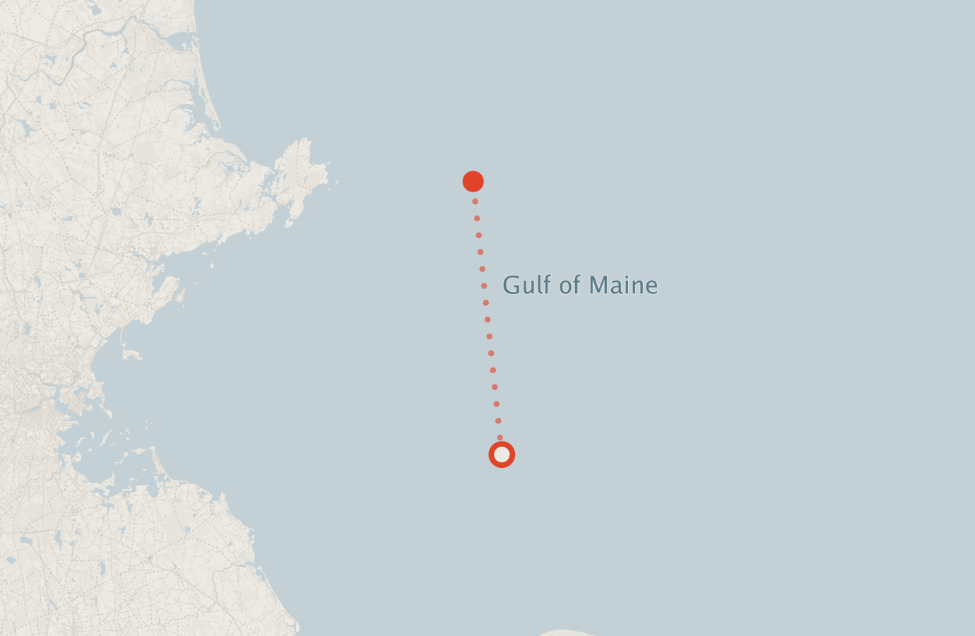 Activity map — real sighting points on an OpenStreetMap basemap