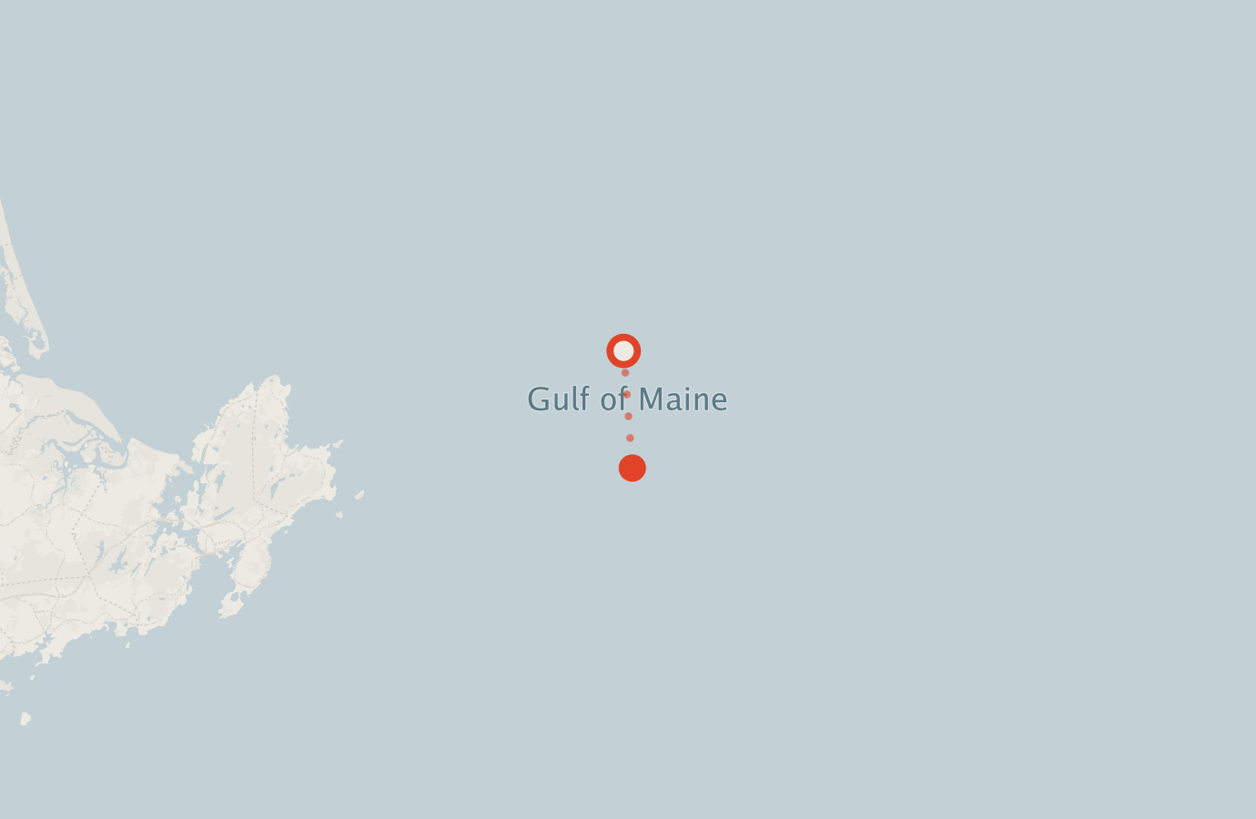 Activity map — real sighting points on an OpenStreetMap basemap
