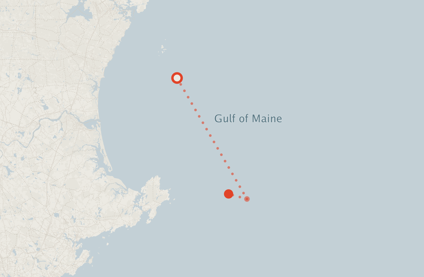 Activity map — real sighting points on an OpenStreetMap basemap