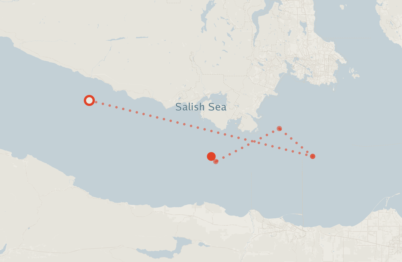 Activity map — real sighting points on an OpenStreetMap basemap
