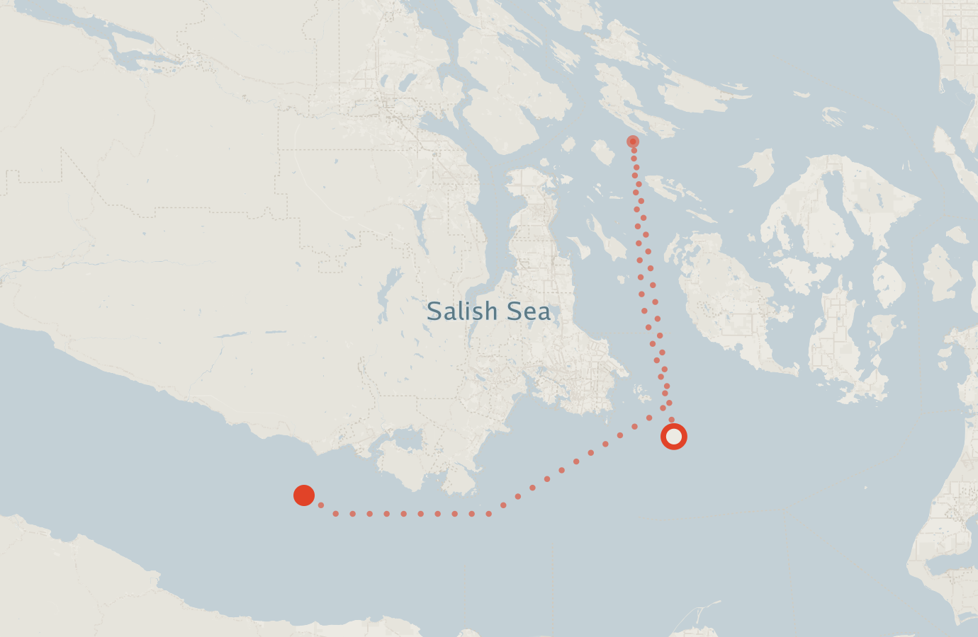 Activity map — real sighting points on an OpenStreetMap basemap